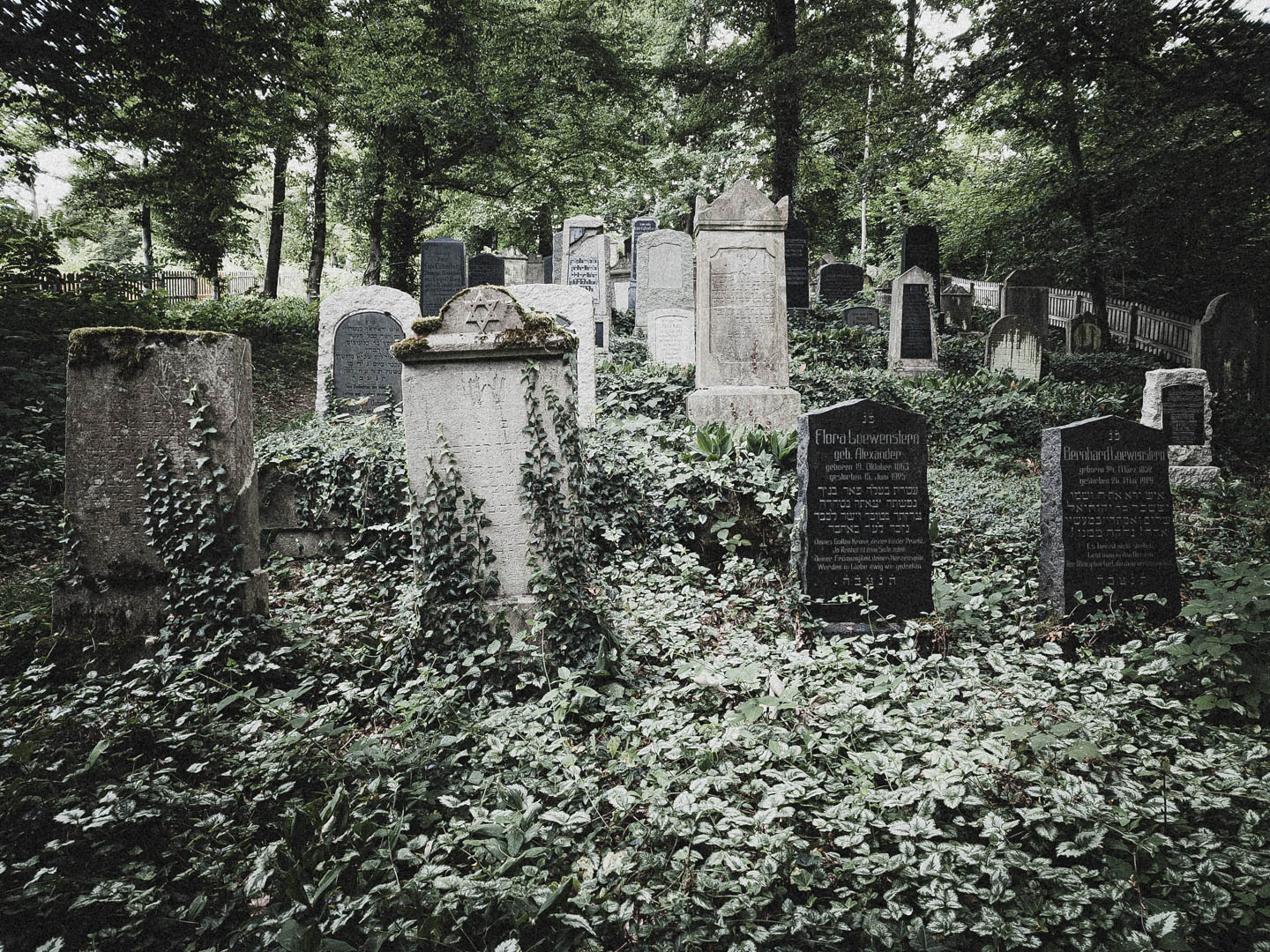 Bodenfeldem Jüdischer Friedhof